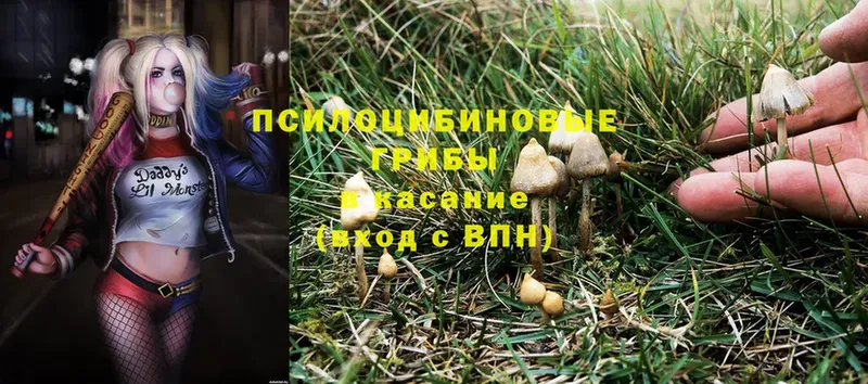 Псилоцибиновые грибы Magic Shrooms  Нефтекамск 